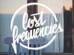 Lost Frequencies2